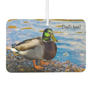 Mallard Duck Air Freshener