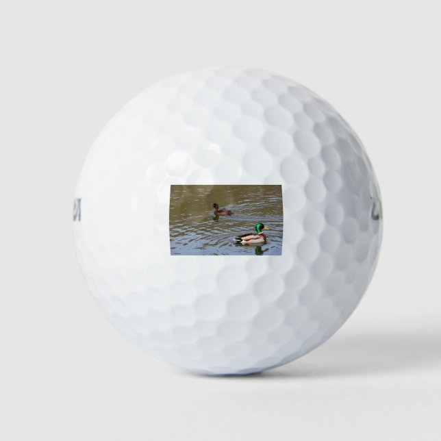 Mallard duck and tufted duck on a river golf balls (Front)