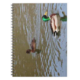 Mallard duck and tufted duck on a river notebook