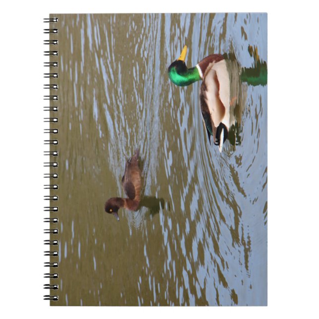 Mallard duck and tufted duck on a river notebook (Front)