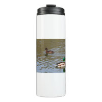 Mallard duck and tufted duck on a river