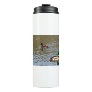 Mallard duck and tufted duck on a river thermal tumbler