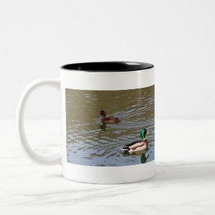 Mallard duck and tufted duck on a river Two-Tone coffee mug