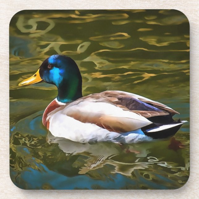 Mallard Duck Artistic Portrait Coaster (Front)