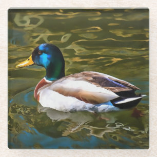 Mallard Duck Artistic Portrait Glass Coaster