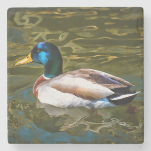 Mallard Duck Artistic Portrait Stone Coaster