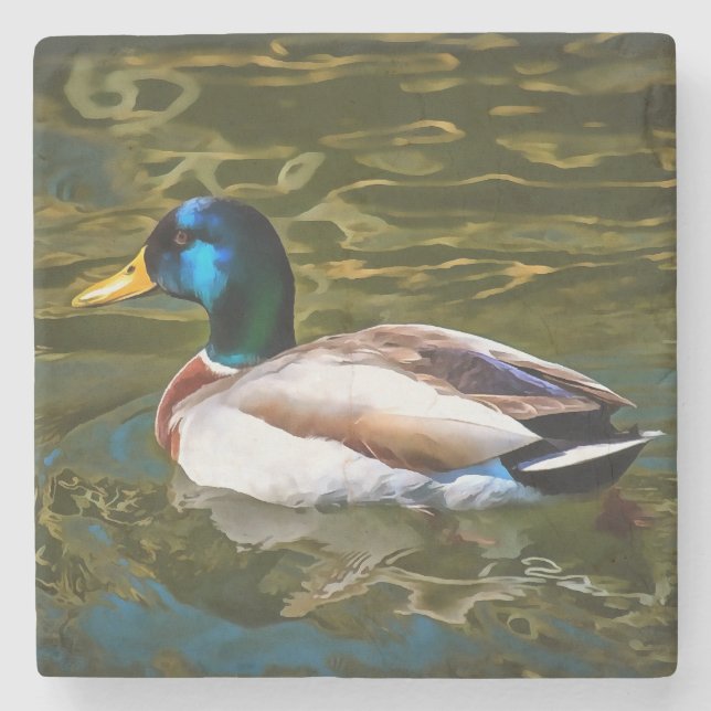 Mallard Duck Artistic Portrait Stone Coaster (Front)