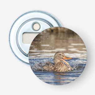 Mallard Duck at Downing Park Bottle Opener