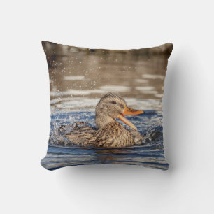Mallard Duck at Downing Park Cushion