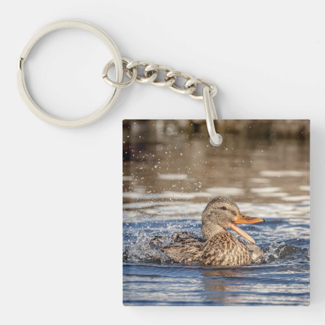 Mallard Duck at Downing Park Key Ring (Front)