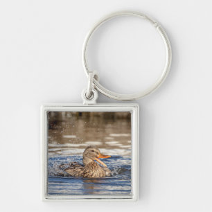 Mallard Duck at Downing Park Key Ring