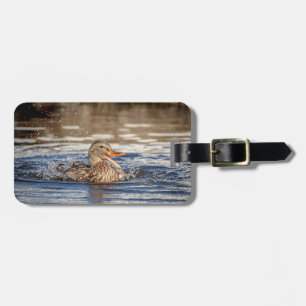 Mallard Duck at Downing Park Luggage Tag