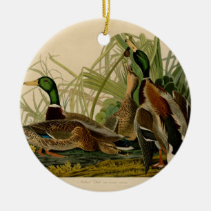Mallard Duck Audubon Bird Painting Ceramic Ornament