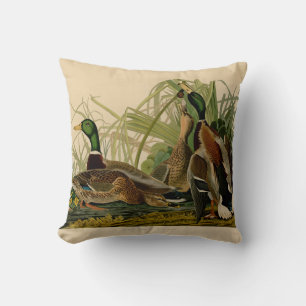 Mallard Duck Audubon Bird Painting Cushion