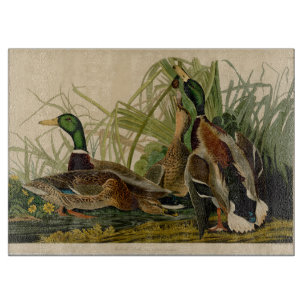 Mallard Duck Audubon Bird Painting Cutting Board