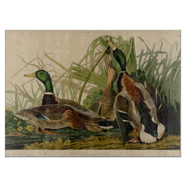 Mallard Duck Audubon Bird Painting Cutting Board (Front)
