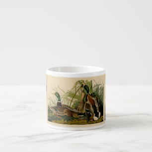 Mallard Duck Audubon Bird Painting Espresso Cup