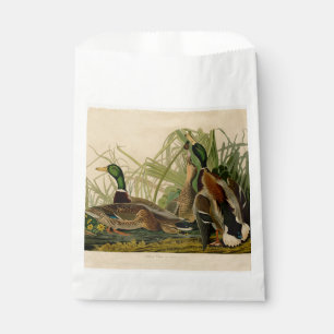 Mallard Duck Audubon Bird Painting Favour Bag