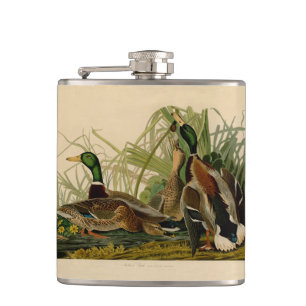 Mallard Duck Audubon Bird Painting Hip Flask
