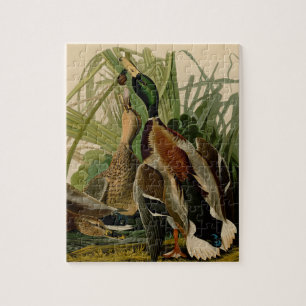 Mallard Duck Audubon Bird Painting Jigsaw Puzzle