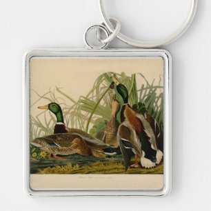 Mallard Duck Audubon Bird Painting Key Ring