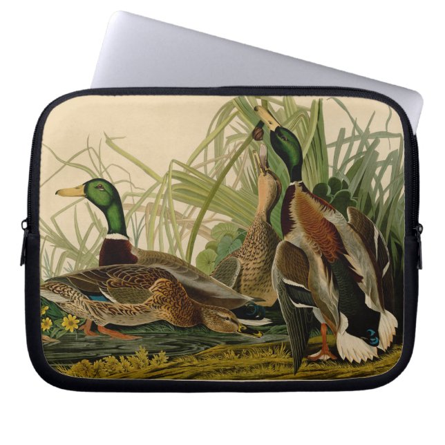 Mallard Duck Audubon Bird Painting Laptop Sleeve (Front)