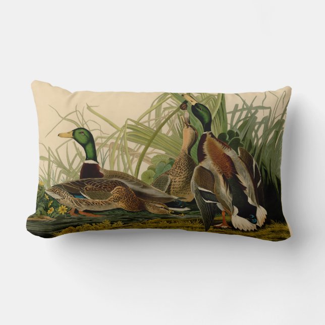 Mallard Duck Audubon Bird Painting Lumbar Cushion (Front)