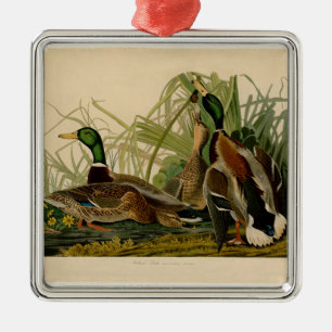 Mallard Duck Audubon Bird Painting Metal Tree Decoration