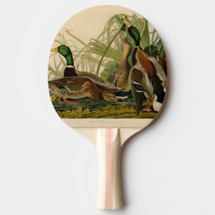 Mallard Duck Audubon Bird Painting Ping Pong Paddle