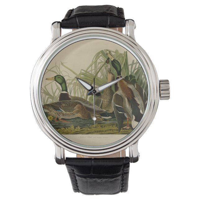 Mallard Duck Audubon Bird Painting Watch (Front)