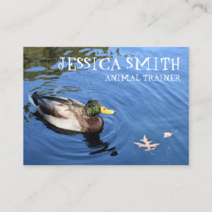 Mallard Duck Bird Blue Water Nature Photography Business Card