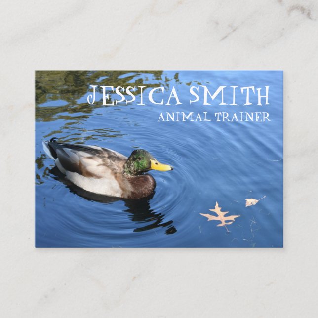 Mallard Duck Bird Blue Water Nature Photography Business Card (Front)