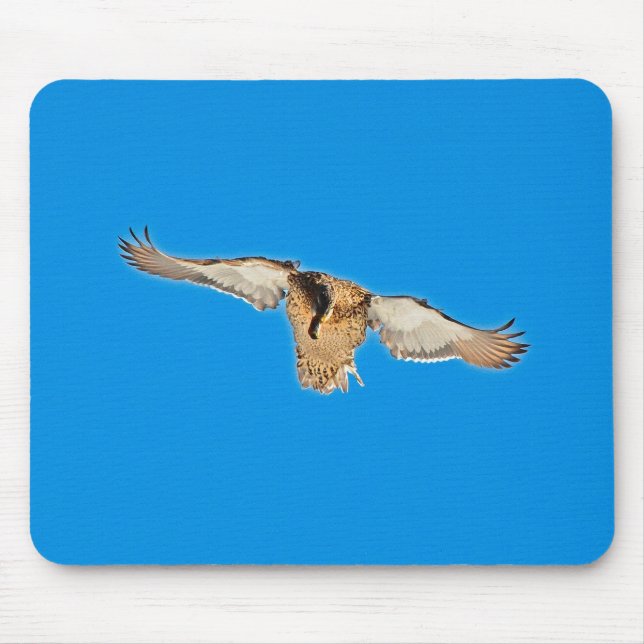 Mallard Duck Birdlover Wildlife Photo Mouse Pad (Front)
