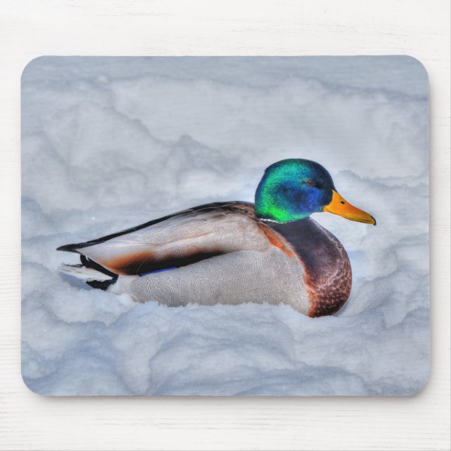 Mallard Duck Birdlover Wildlife Photo Mouse Pad (Front)
