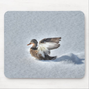 Mallard Duck Birdlover Wildlife Photo Mouse Pad