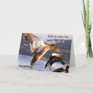 Mallard Duck Birthday Greeting  Card