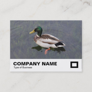 Mallard Duck Business Card