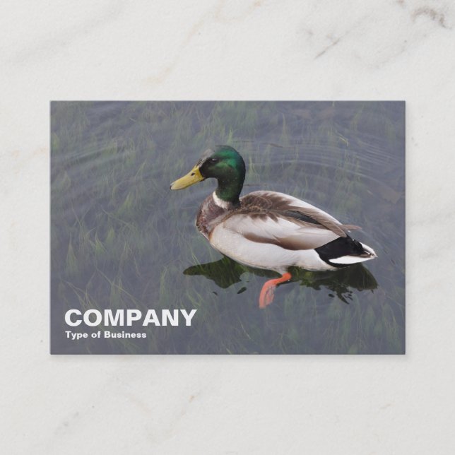 Mallard Duck Business Card (Front)
