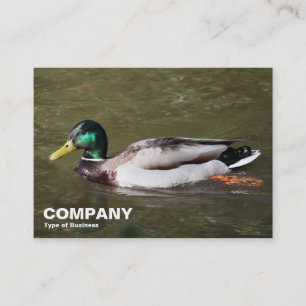 Mallard Duck Business Card