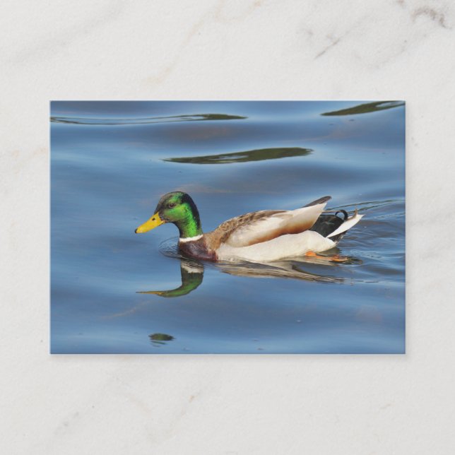 Mallard Duck Business Card (Front)