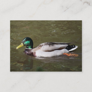 Mallard Duck Business Card