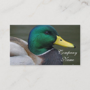 Mallard Duck Business Card