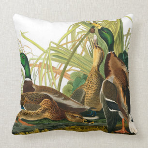 Mallard Duck by John James Audubon Cushion