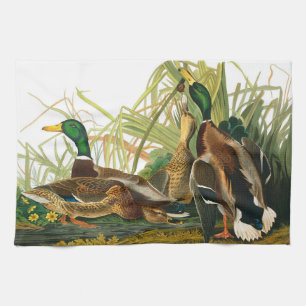 Mallard Duck by John James Audubon Tea Towel