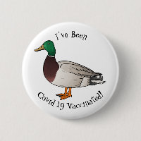 Mallard duck cartoon illustration
