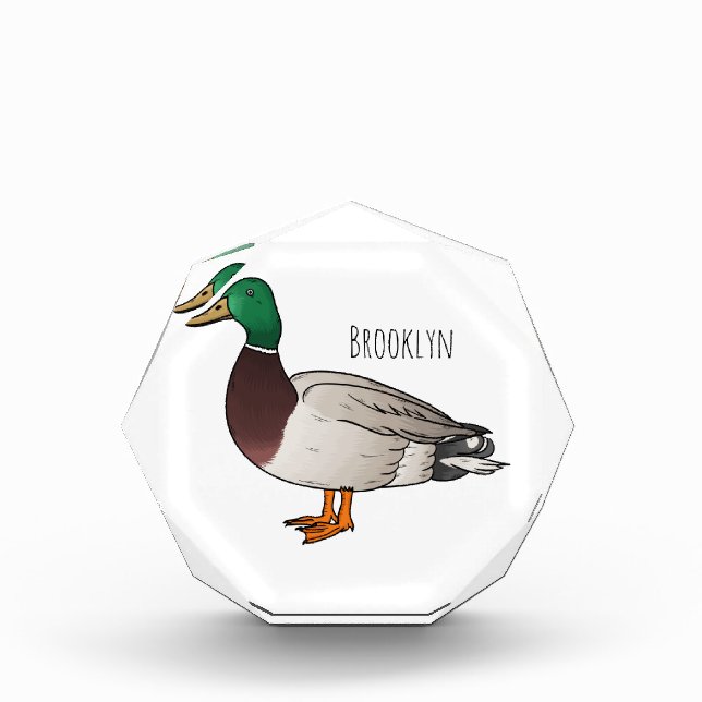 Mallard duck cartoon illustration  photo block (Front)