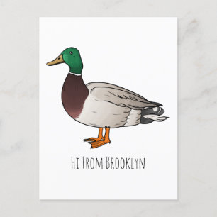 Mallard duck cartoon illustration postcard