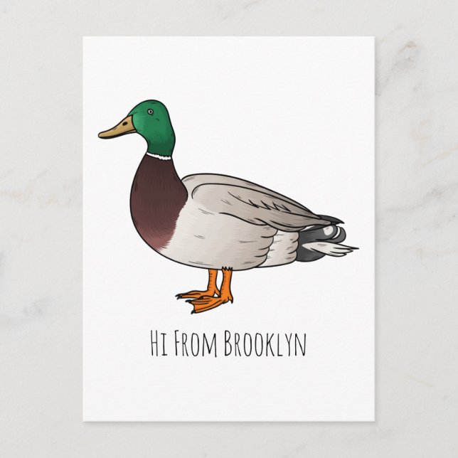 Mallard duck cartoon illustration  postcard (Front)