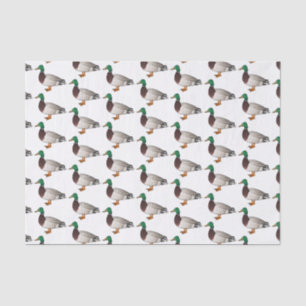 Mallard duck cartoon illustration  tissue paper