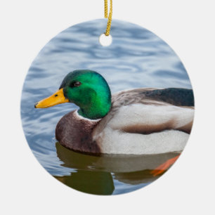 Mallard Duck Ceramic Ornament